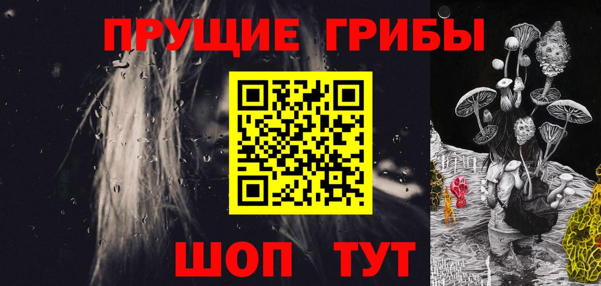Галлюциногенные грибы мицелий Зеленогорск
