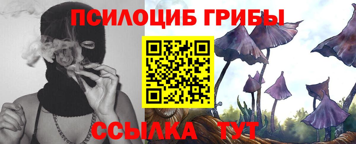 Псилоцибиновые грибы MAGIC MUSHROOMS  Вход с VPN  Галлюциногенные грибы мухоморы  Зеленогорск 